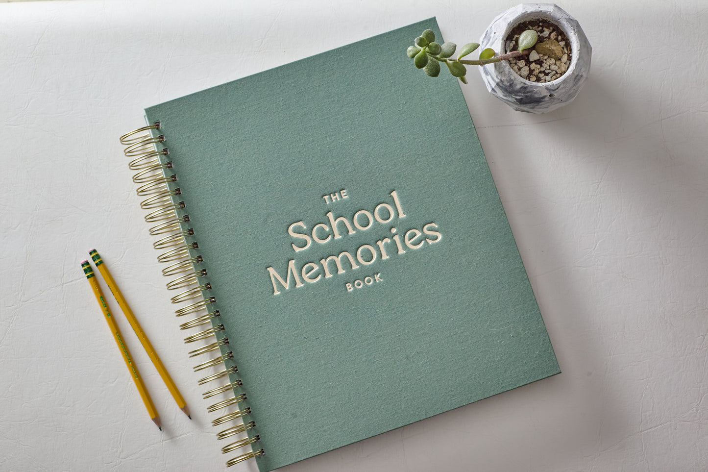 The School Book